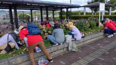 7月6日美化活動